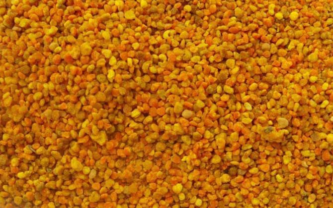 哪些人不適合吃蜂花粉? 蜂花粉