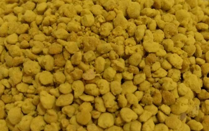 茶花粉和菜花粉哪個(gè)好? 菜花粉