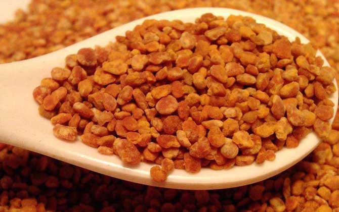 最新茶花粉價格多少錢一斤? 茶花粉