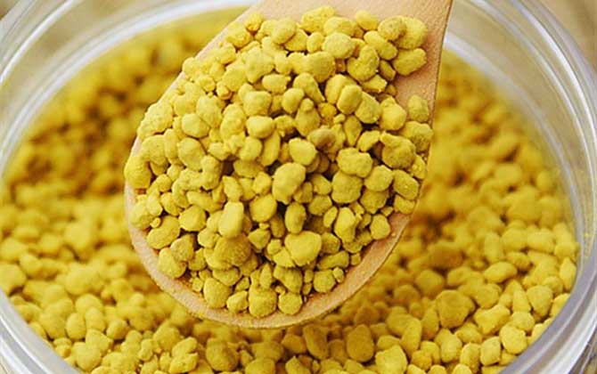 油菜花粉對性功能有好處嗎? 油菜花粉