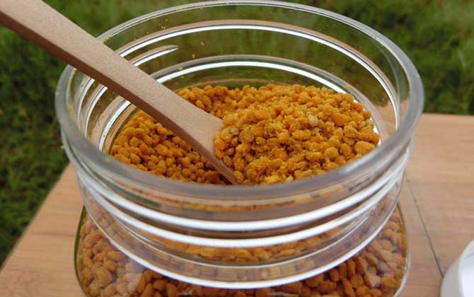 荷花粉和茶花粉的區別 荷花粉