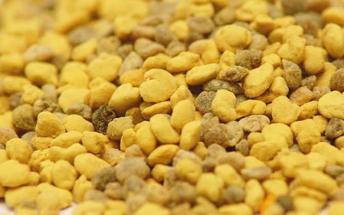 蜂花粉的功效與作用及禁忌人群 蜂花粉