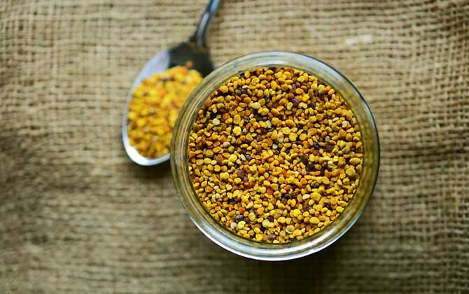 蜂花粉的功效與作用及禁忌人群 蜂花粉