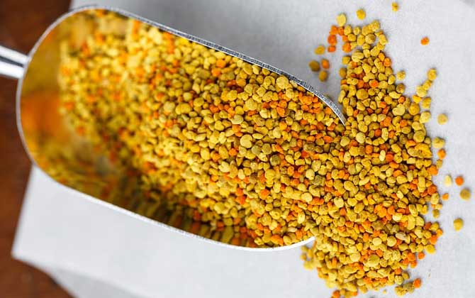 蜂花粉的功效與作用及禁忌人群 蜂花粉