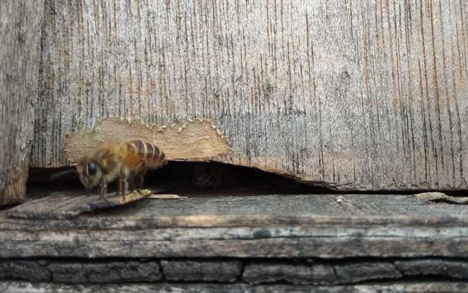 怎么判斷介王是否成功? 介王