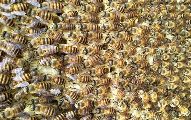 失王什么時候介王最好? 介王