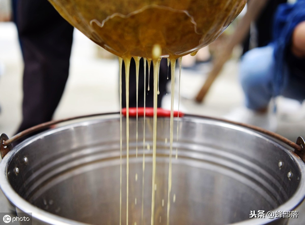 蜜蜂養(yǎng)殖，養(yǎng)殖場(chǎng)蜜蜂多，如何取蜜好？老蜂農(nóng)：3個(gè)配合取蜜更好