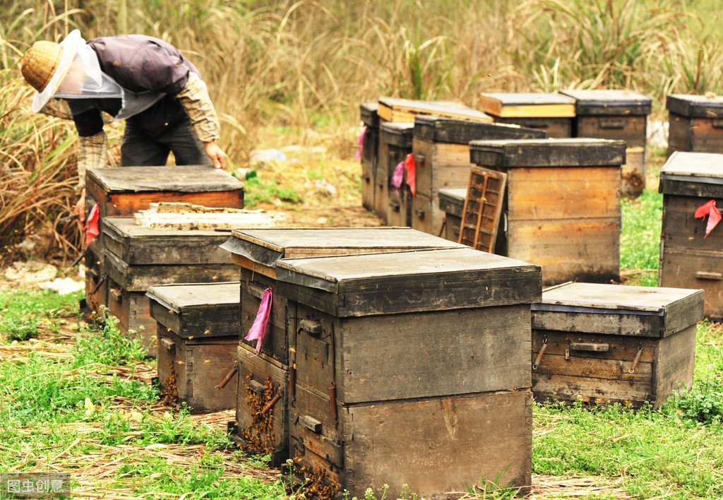 冬天蜜蜂結(jié)團(tuán)近距離搬遷有回蜂嗎？該注意哪些問題？
