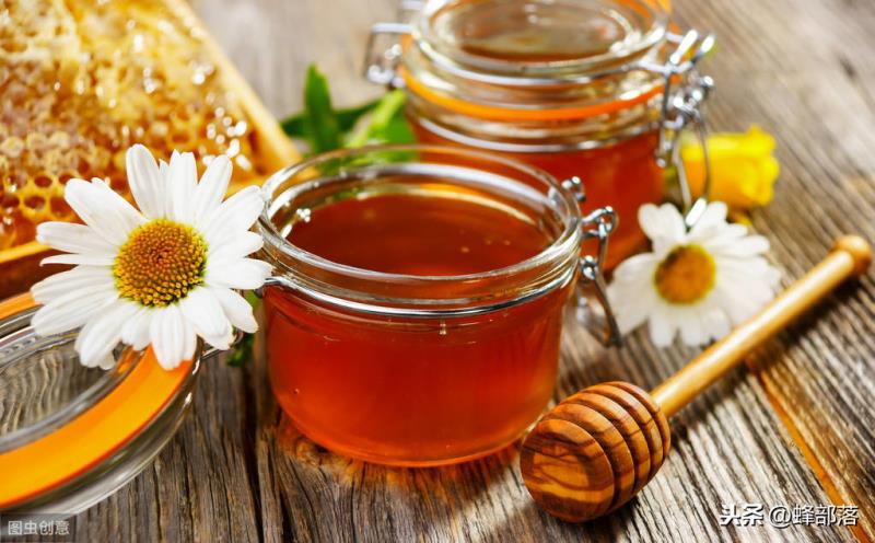 蜜蜂養殖，出現最大的問題是什么？這個問題決定你養蜂能不能賺錢