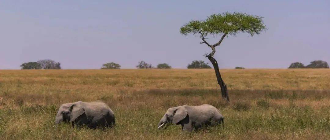 哪一程的旅行滿足了你對「去遠方」的美好幻想