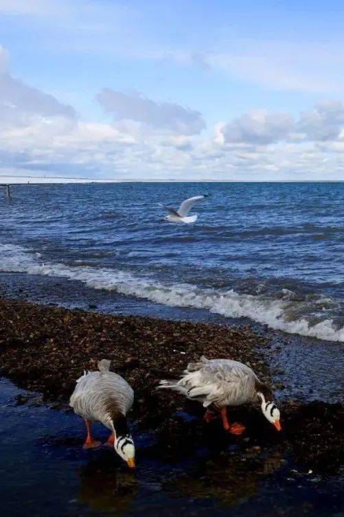 哪一程的旅行滿足了你對「去遠方」的美好幻想