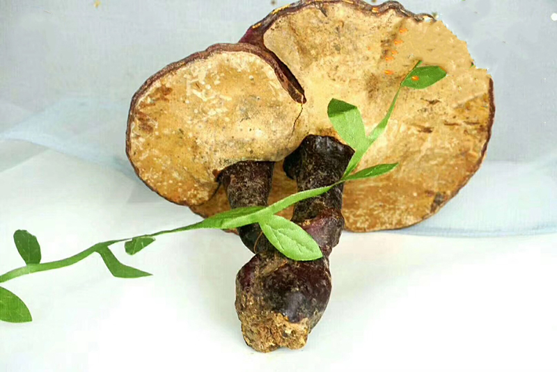 我國初級農產品目錄(初級農產品包括的范圍) 我國初級農產品目錄(初級農產品包括的范圍)