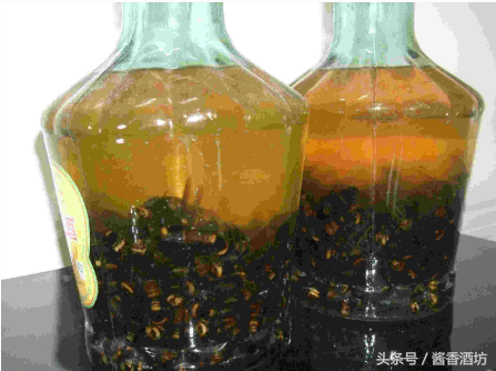 如何浸泡金環(huán)胡蜂酒，金環(huán)胡蜂酒制作方法