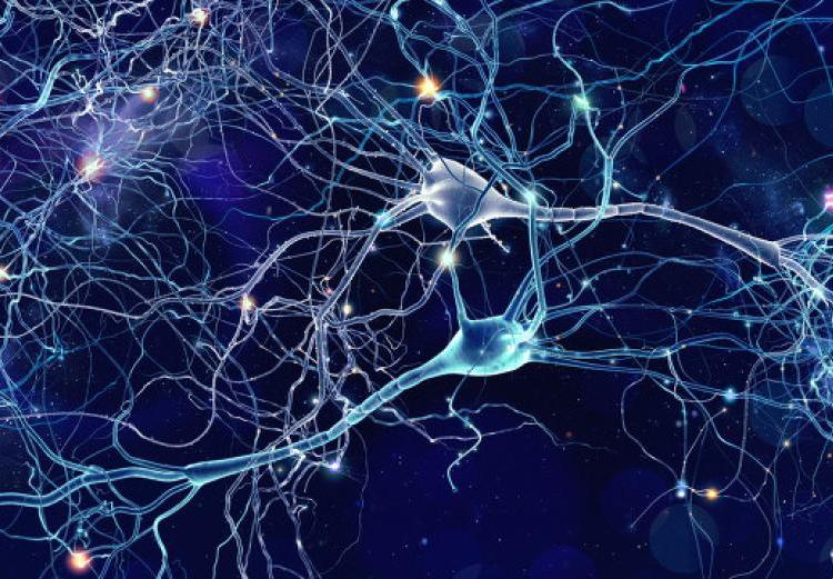 直徑5.2億光年，囊括10萬星系，拉尼亞凱亞超星系團有多可怕？