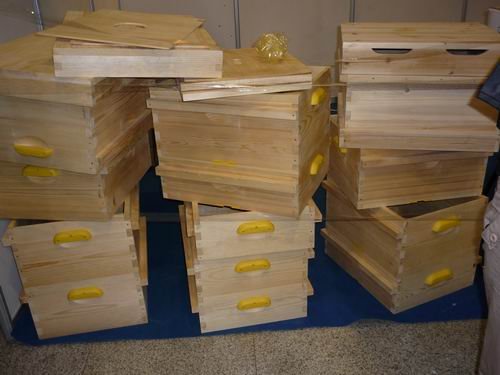 養中蜂在蜂場里喂水可以嗎(給蜂群喂水的五種方法及其利弊) 養中蜂在蜂場里喂水可以嗎(給蜂群喂水的五種方法及其利弊)