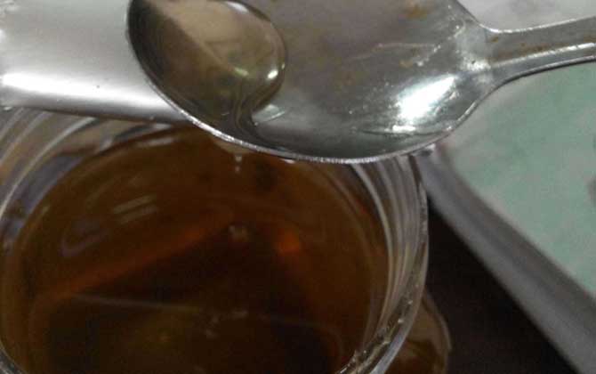 野菊花有花蜜嗎(野菊花的花期) 野菊花有花蜜嗎(野菊花的花期)