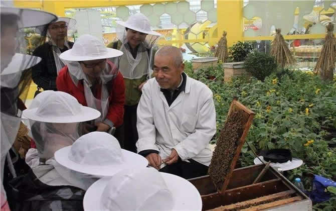 蜜蜂養殖技術 蜜蜂養殖技術