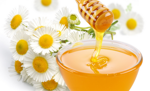 很那蜜源植物有哪些（鄉下野外都有哪些主要蜜源植物）