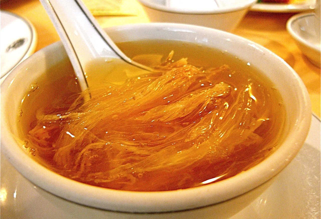 全球年銷售魚翅140萬噸,殺死1億條鯊魚,為何不能人工飼養 全球每年銷售魚翅140萬噸,殺死1億條鯊魚,為何不能人工飼養?