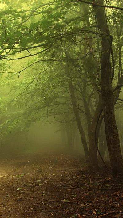 樓頂養蜂對風水有影響嗎(養蜂的風水禁忌) 樓頂養蜂對風水有影響嗎(養蜂的風水禁忌)