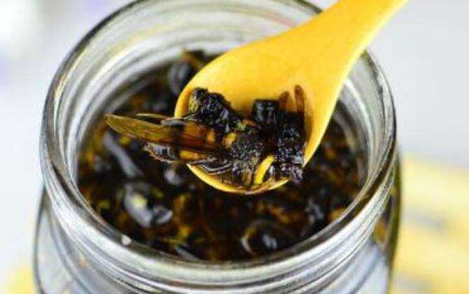 中國(guó)大虎頭蜂可以泡酒喝嗎(虎頭蜂酒的功效) 中國(guó)大虎頭蜂可以泡酒喝嗎(虎頭蜂酒的功效)