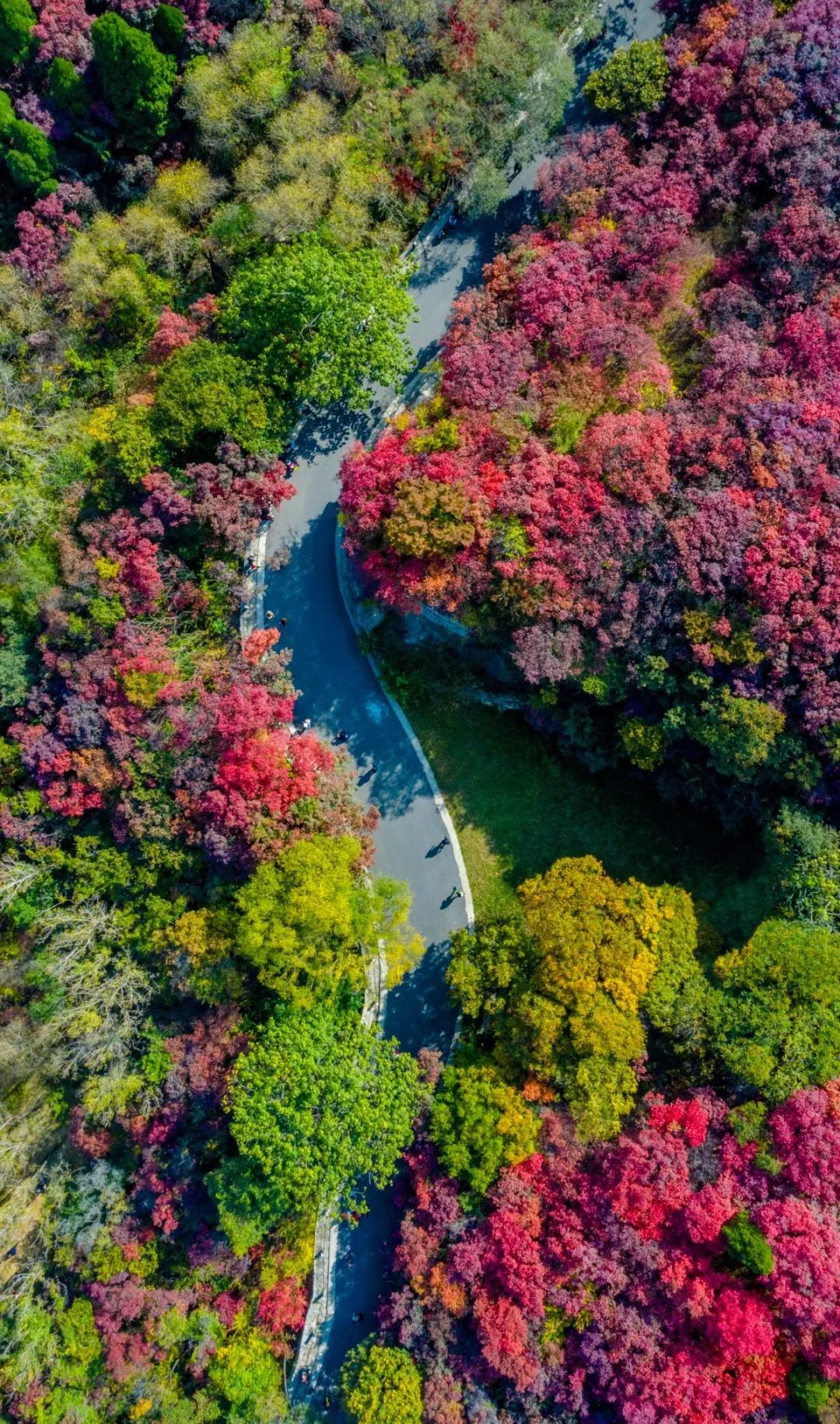 有篝火、有星空！山東私藏的這些自駕露營地景美人少，現在就出發(fā)！