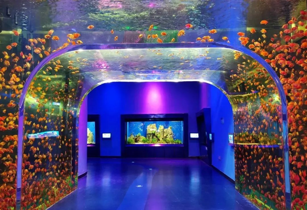 有篝火、有星空！山東私藏的這些自駕露營地景美人少，現在就出發(fā)！