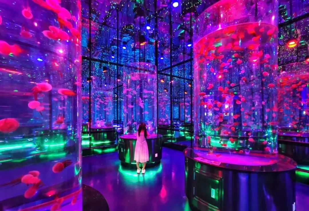 有篝火、有星空！山東私藏的這些自駕露營地景美人少，現在就出發(fā)！