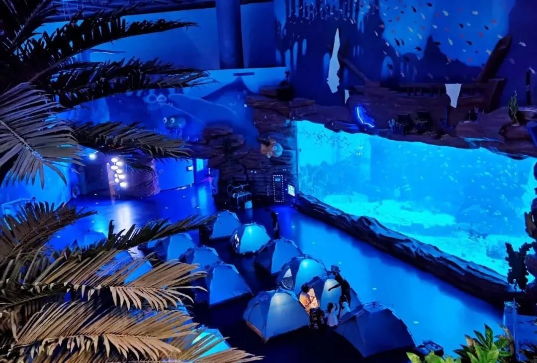 有篝火、有星空！山東私藏的這些自駕露營地景美人少，現在就出發(fā)！