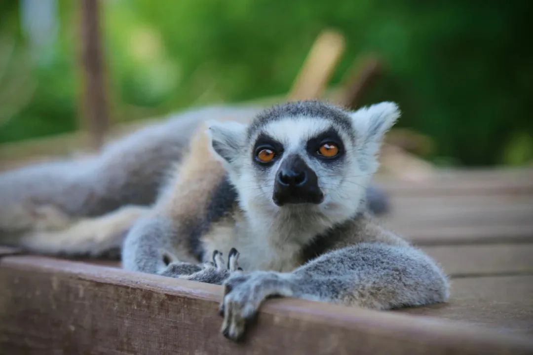 有篝火、有星空！山東私藏的這些自駕露營地景美人少，現在就出發(fā)！