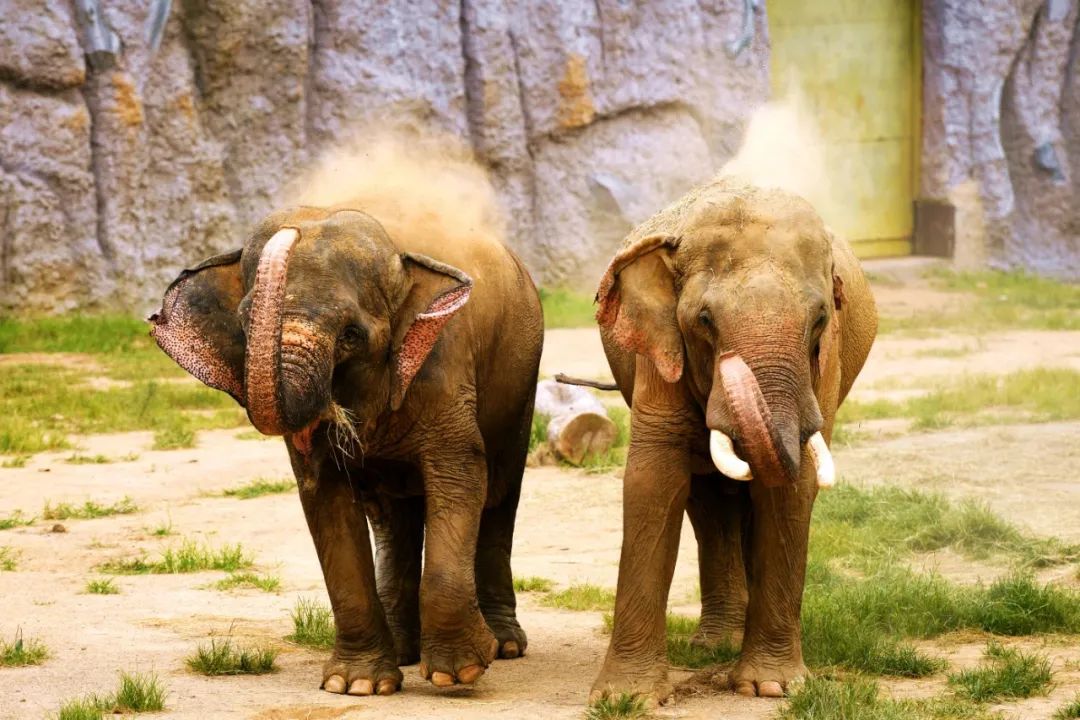 有篝火、有星空！山東私藏的這些自駕露營地景美人少，現在就出發(fā)！