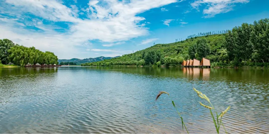 有篝火、有星空！山東私藏的這些自駕露營地景美人少，現在就出發(fā)！