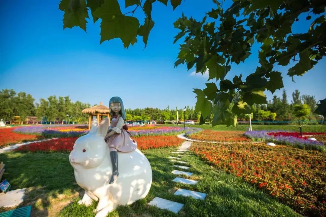 有篝火、有星空！山東私藏的這些自駕露營地景美人少，現在就出發(fā)！