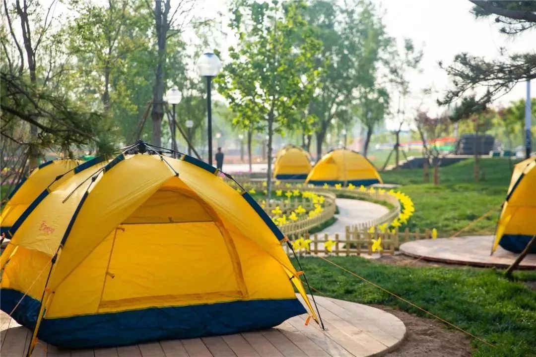 有篝火、有星空！山東私藏的這些自駕露營地景美人少，現在就出發(fā)！