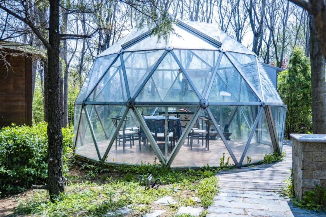 有篝火、有星空！山東私藏的這些自駕露營地景美人少，現在就出發(fā)！