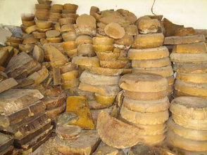 養20窩虎頭蜂一年利潤(養殖二十箱蜜蜂一年收入有多少) 養20窩虎頭蜂一年利潤(養殖二十箱蜜蜂一年收入有多少)