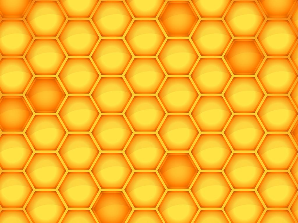 蜜蜂是怎么筑巢的? 蜜蜂是怎么筑巢的?