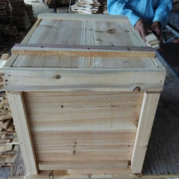 蜂王一個(gè)月產(chǎn)幾次卵（產(chǎn)卵少是什么原因）