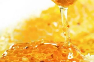 怎么利用購買的蜂王進(jìn)行分蜂繁殖(怎么分蜂繁殖) 怎么利用購買的蜂王進(jìn)行分蜂繁殖(怎么分蜂繁殖)