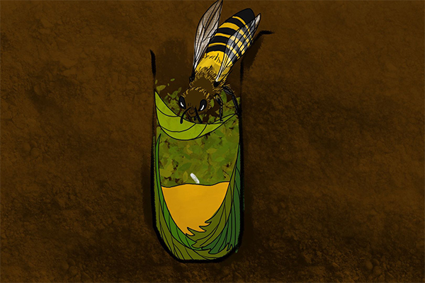 不是所有的蜜蜂都是來采花蜜也許是來切葉的 不是所有的蜜蜂都是來采花蜜也許是來切葉的