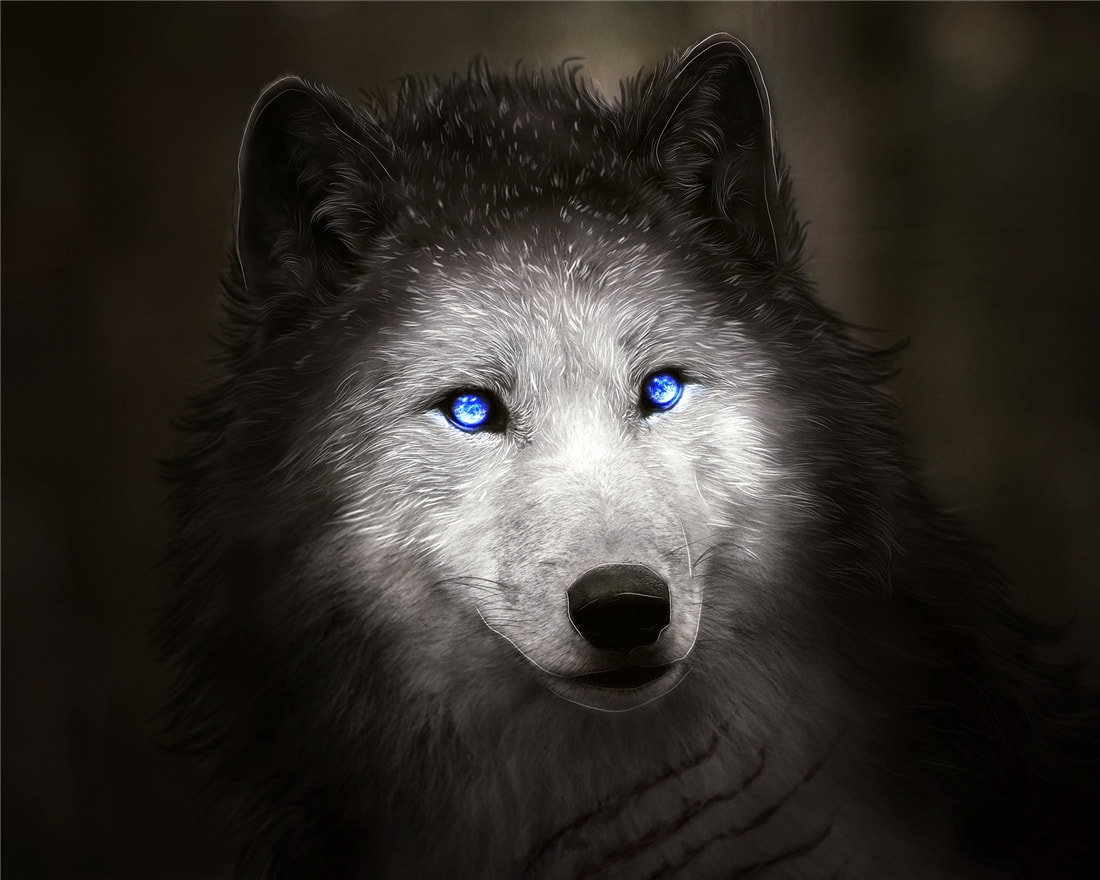 長白山多次出現“狽”，最早記載于西漢，奔跑時前腿搭在狼身上