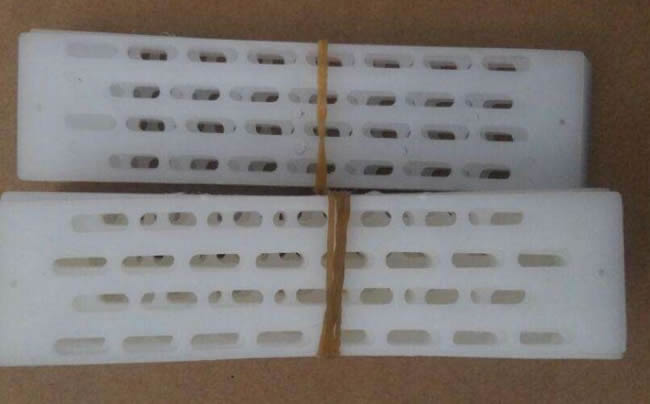 防逃片為什么關不住蜂王？