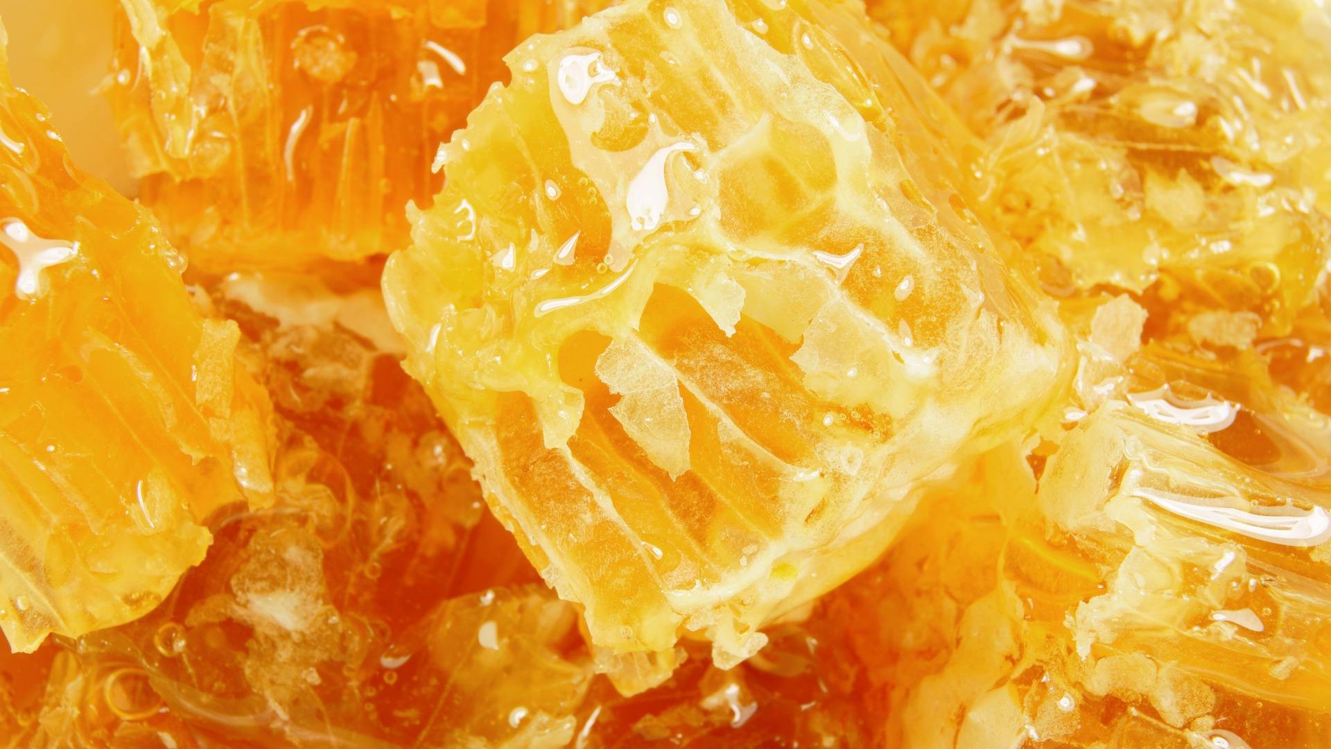 五味子和蜜五味子有什么區別(五味子和蜜五味子的對比) 五味子和蜜五味子有什么區別(五味子和蜜五味子的對比)