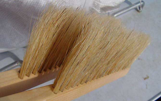 蜜蜂工具批發(fā)價(jià)格表（養(yǎng)蜂工具大全及參考價(jià)格）