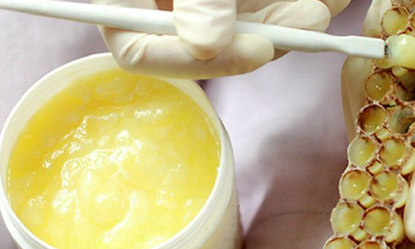 蜂乳和蜂蜜的區別(什么是蜂乳,和蜂蜜有啥區別) 蜂乳和蜂蜜的區別(什么是蜂乳,和蜂蜜有啥區別)