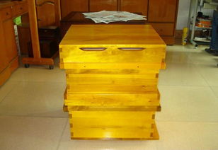 買了一只蜂王和20只工蜂能發展起來嗎(一只中蜂王配二十只工蜂能帶動發展) 買了一只蜂王和20只工蜂能發展起來嗎(一只中蜂王配二十只工蜂能帶動發展)