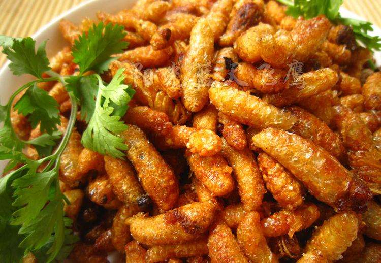 如何區別蜜蜂蛹和胡蜂蛹？