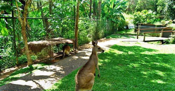 如何判斷蜜源地的優(yōu)劣（蜜源地好壞的判斷標準）