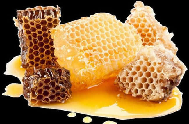 土蜂蜜和普通蜂蜜的區(qū)別 土蜂蜜和普通蜂蜜的區(qū)別