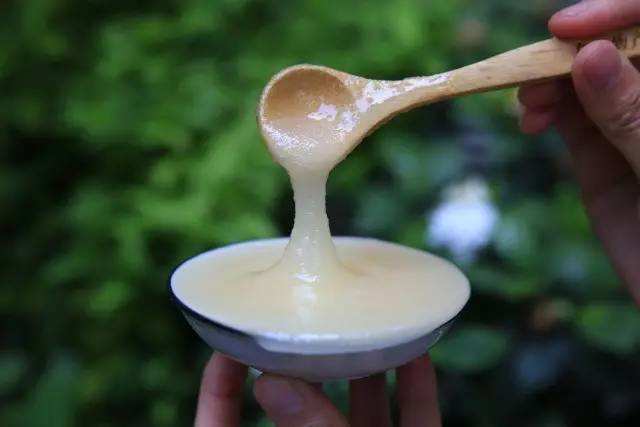 一箱蜜蜂一年能產(chǎn)多少蜂蜜? 一箱蜜蜂一年能產(chǎn)多少蜂蜜?